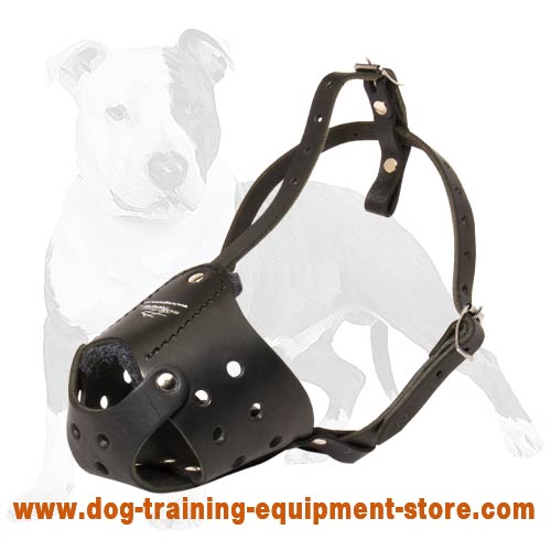 Comfortable and Safe Leather Dog Muzzle - Perfect for Training and Daily Walks