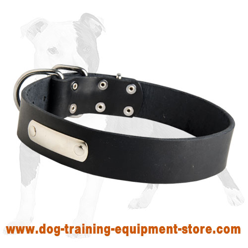 Identification Leather Dog Collar for Walking and Training