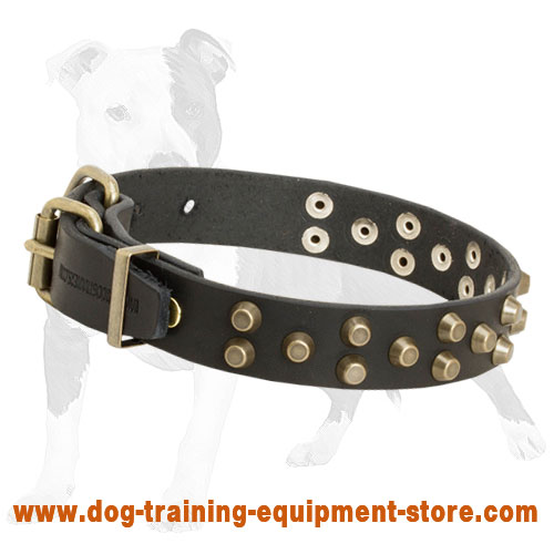 Comfortable Leather Dog Collar with Brass Pyramids