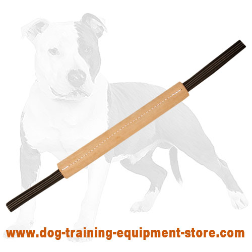 Hard pocket toy made of leather with two handles