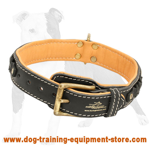 Beautiful Nappa Padded Hand Made Leather Dog Collar