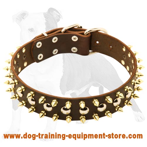 Spiked and Studded Leather Dog Collar