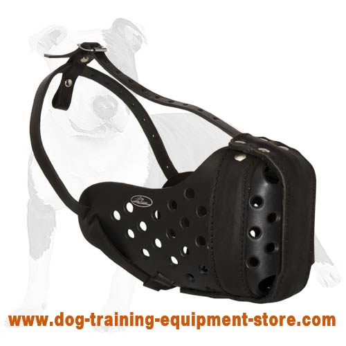 Professional Leather Dog Muzzle for Agitation Training