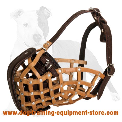 Basket muzzle training Clearance