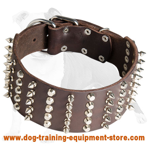 3 inch dog on sale collar