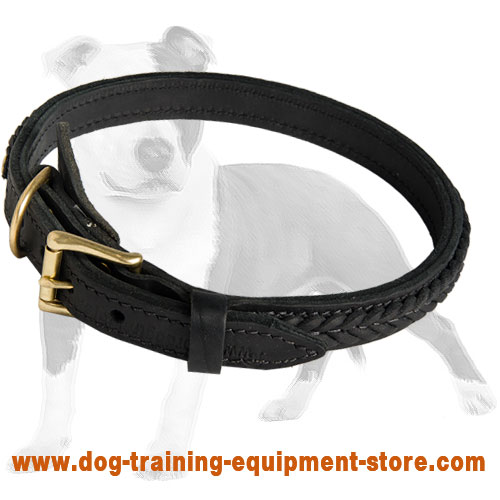 Elegant Thick Leather Dog Collar for Walking/Training Large and Medium Dogs