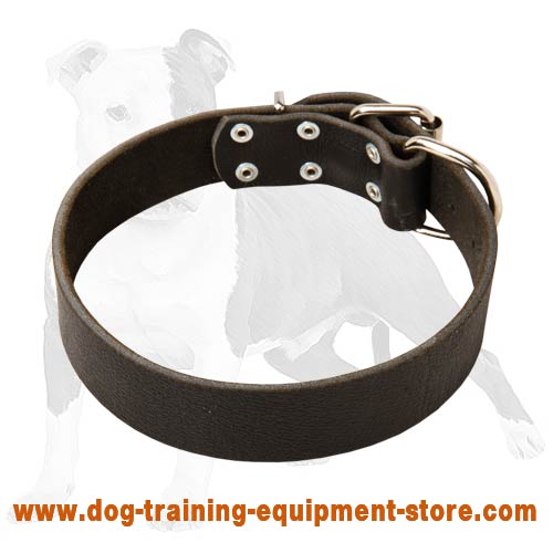 Price Affordable Leather Dog Collar for Daily Wearing