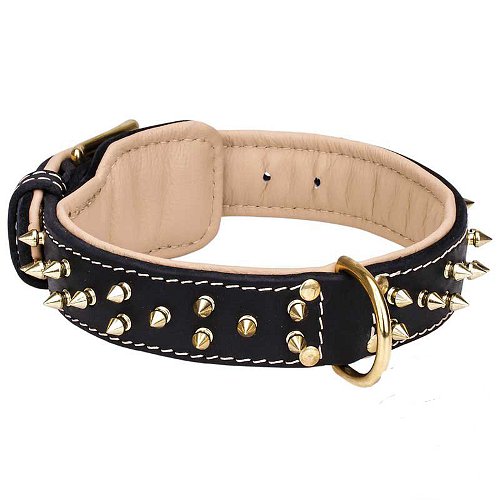 Nappa Padded Leather Dog Collar with Barss Spikes for Fashion Walking - Click Image to Close