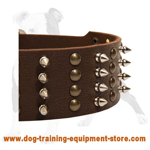 Superior Leather Dog Collar with 4 Rows of Hand Set Studs and Spikes