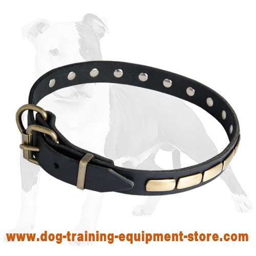 Designer Leather Dog Collar with Brass Plates for Fashion Walking
