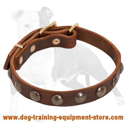 Leather Dog Collar Studded with Brass Half-Balls for Fashion Walking