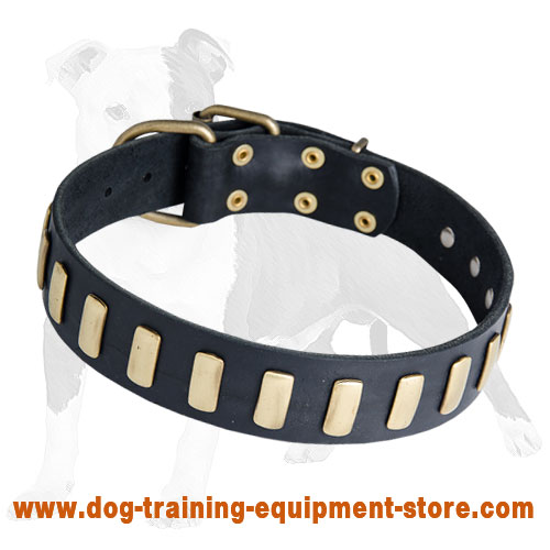 Handmade Leather Dog Collar with Vertical Plates for Walking and Training