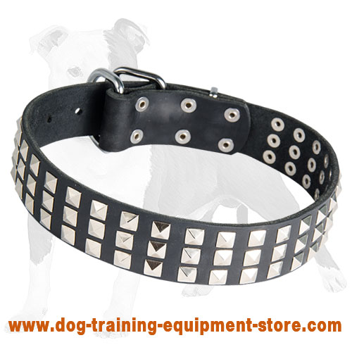 Leather Dog Collar with Silver Pyramids