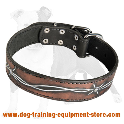 Handpainted Designer Leather Canine Collar for Training and Walking Large/Medium Breed Dogs