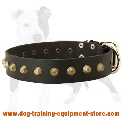 Wide Leather Dog Collar with Brass Pyramids for Walking Large and Medium Canines