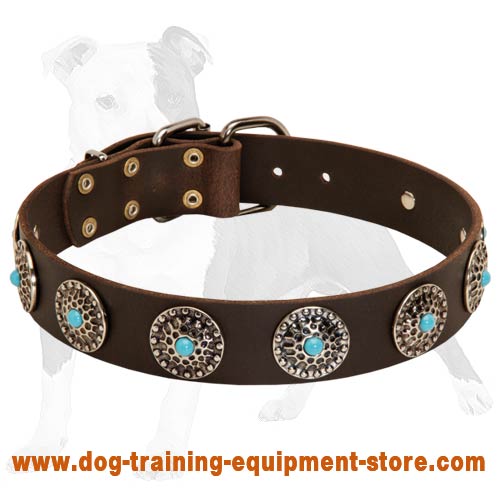 Leather Dog Collar with Silver Circles Blue Stones