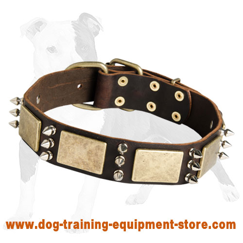 Gorgeous War-Style Leather Dog Collar with Massive Bras Plates and Nickel Spikes