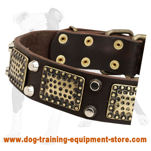 War-like Leather Dog Collar with old brass massive plates and 2 nickel pyramids