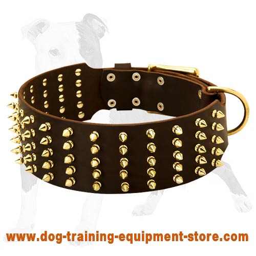 Extra Wide Leather Dog Collar with Brass Spikes for Daily Fashion Walking