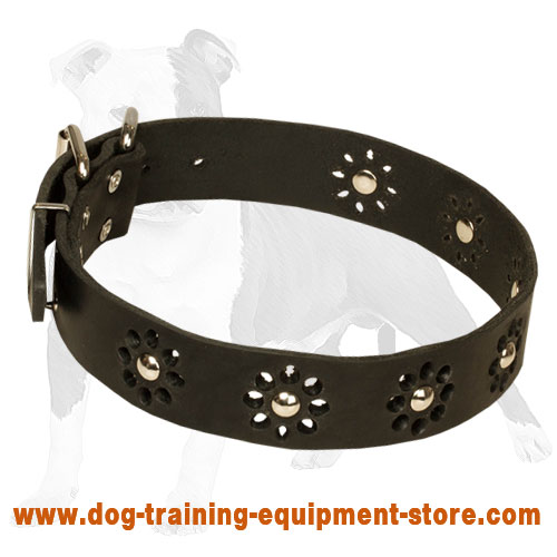 Elegant "Camomile" Leather Dog Collar