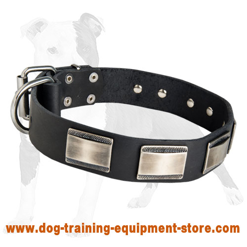 Leather Dog Collar with Figured Plates for Walking and Training