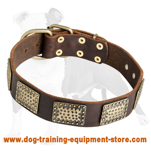 Leather Dog Collar with Vintage Curved Plates for Walking and Training Large and Medium Breed Dogs