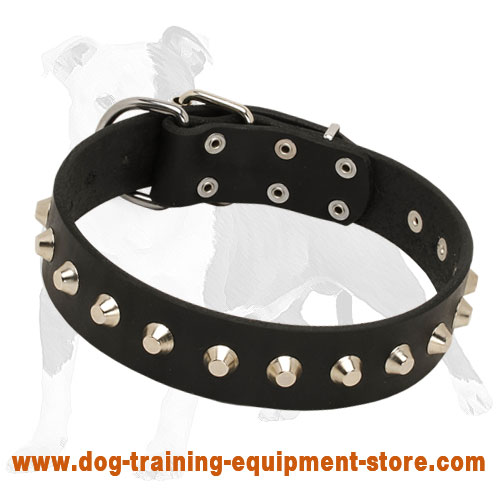 Leather Dog Collar with Nickel-Plated Pyramids