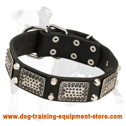 Tremendous Leather Dog Collar with old nickel massive plates and 2 nickel pyramids)