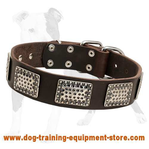 War Like Leather Dog Collar with Plates