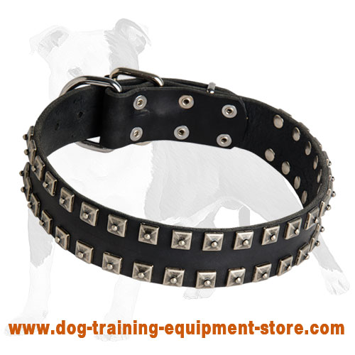 Studded Leather Dog Collar with Dotted Nickel Studs for Daily Walking