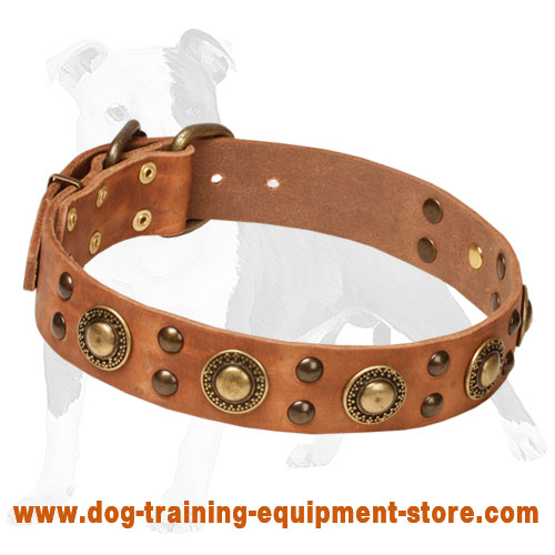 Leather Dog Collar with Brass Decoration