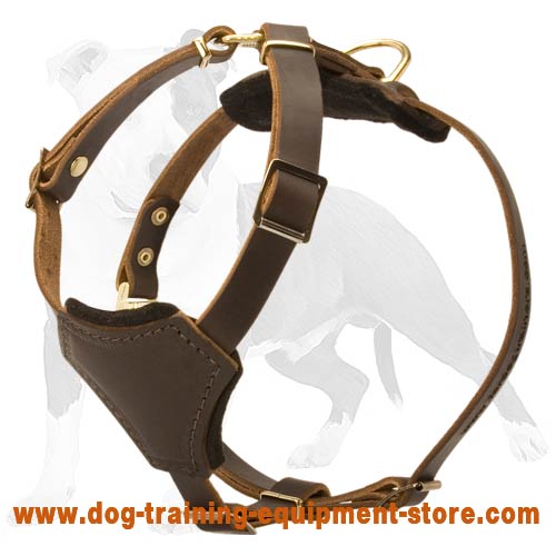 Light Weight Small Leather Harness for Puppy