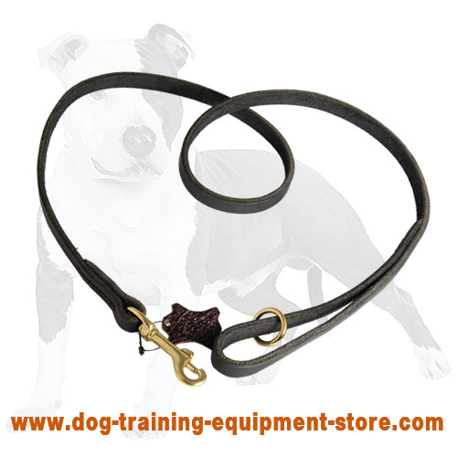 Handcrafted Leather Leash for Walking your Dog