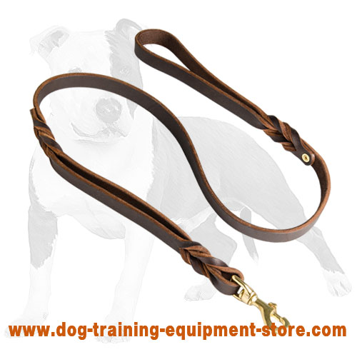 Fashion Double Handle Leather Dog Leash 3/4 inch on 5 FT