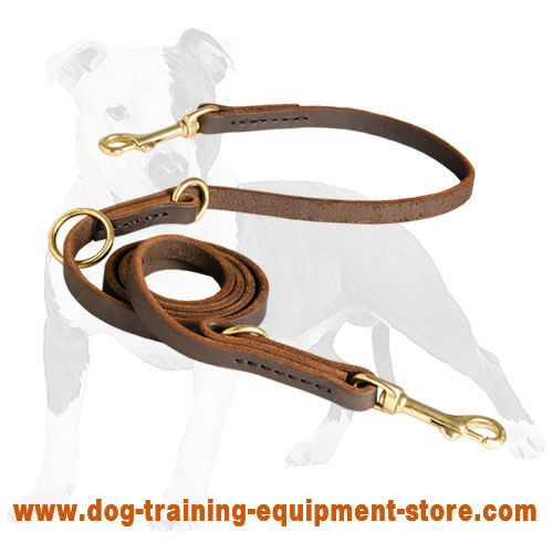 Multimode Leather Dog Lead for Walking and Training