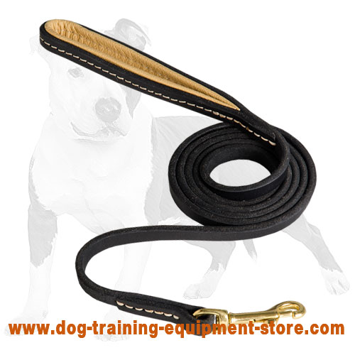 Chic Leather Dog Leash Stitched with Padded Handle
