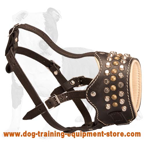 Royal Brass Studded Leather Dog Muzzle to Ease Training