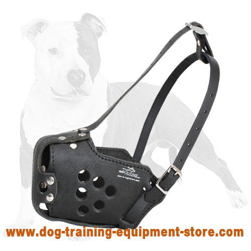 Military Strong Leather Dog Muzzle for Training, Police, Agitation