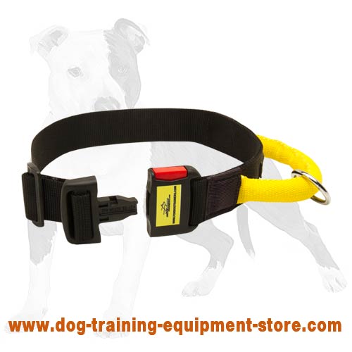Very Practical and Gorgeous Nylon Collar for Training Your Dog