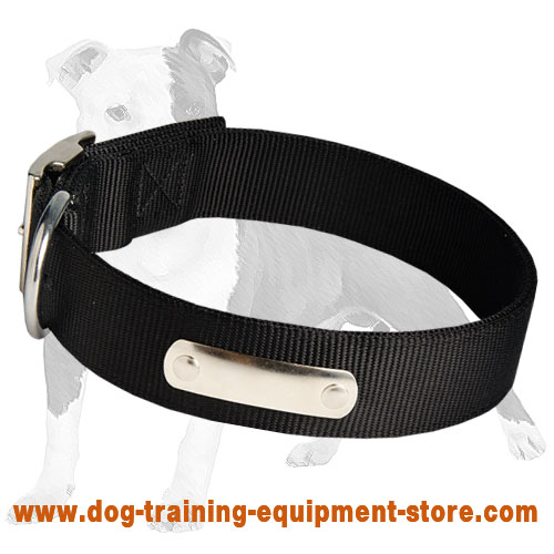Adjustable Nylon Canine Collar with ID Tag for Walking and Training