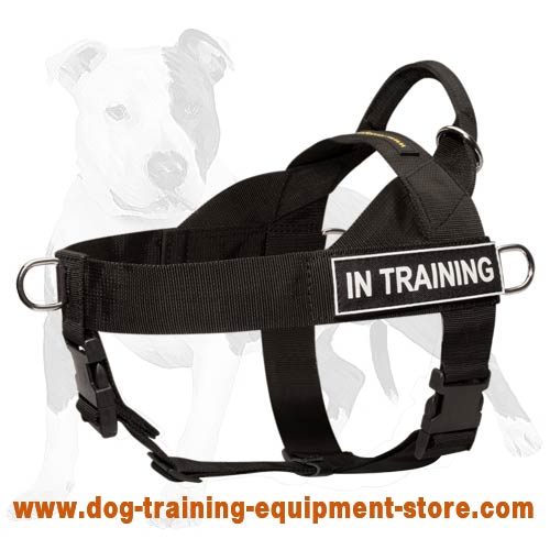 Working Dog Identification Nylon Harness