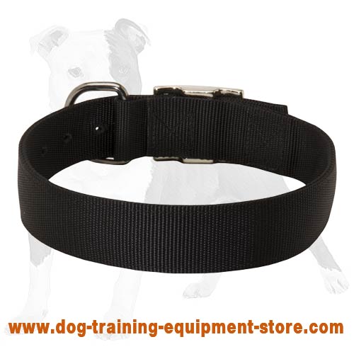 All-Weather Nylon Collar for Training and Walking Your Beloved Dog