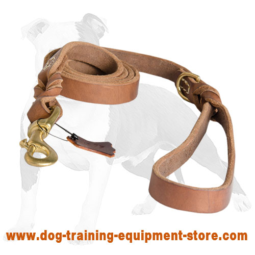 Upgraded Ultimate Professional Leather Dog Leash