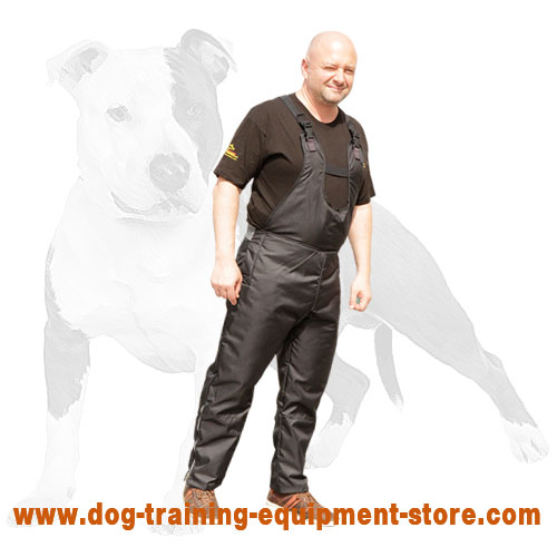 Protection scratch pants for dog training