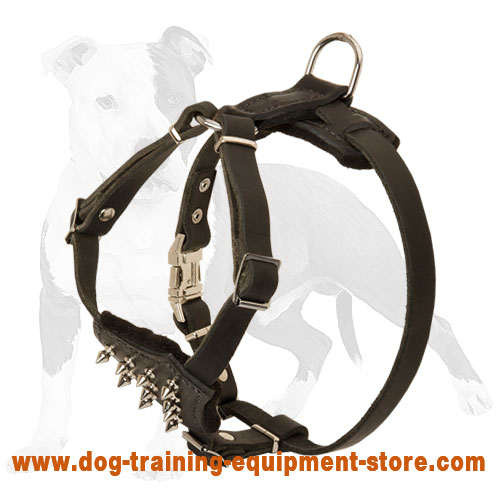 Leather Puppy Harness with Spiked Delicate Chest - Click Image to Close
