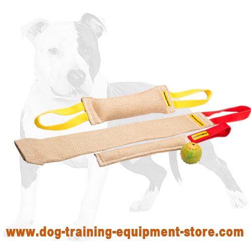 Play and Train Leather Dog Tug Toy with 2 Handles