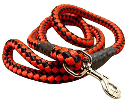 5 foot Round Nylon Leash With Brass Snap for dogs