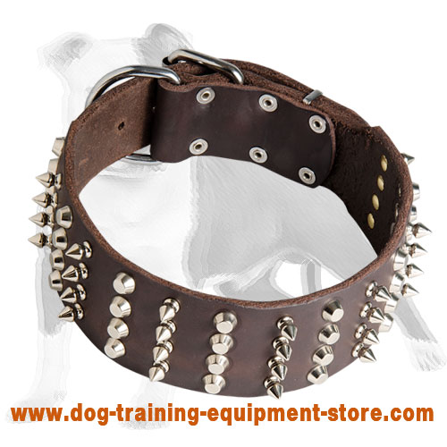 Fashion Spiky Leather Dog Collar with Pyramids