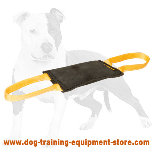 https://www.dog-training-equipment-store.com/images/large/Strong-leather-bite-tug-with-2-handles-TE48_LRG.jpg