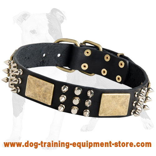 Walking Leather Dog Collar with Spikes, Pyramids and Massive Plates